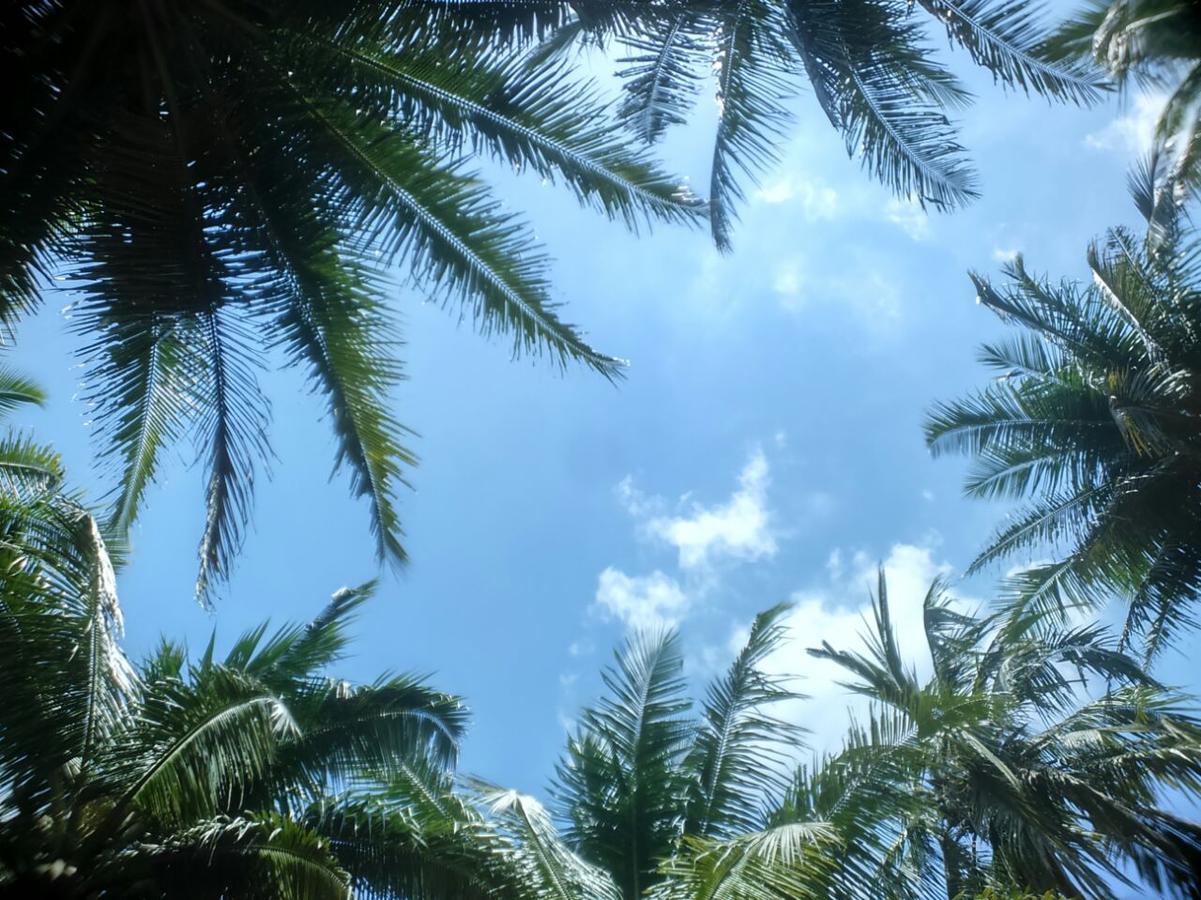 Crossbill Beach Resort Govind Nagar 外观 照片